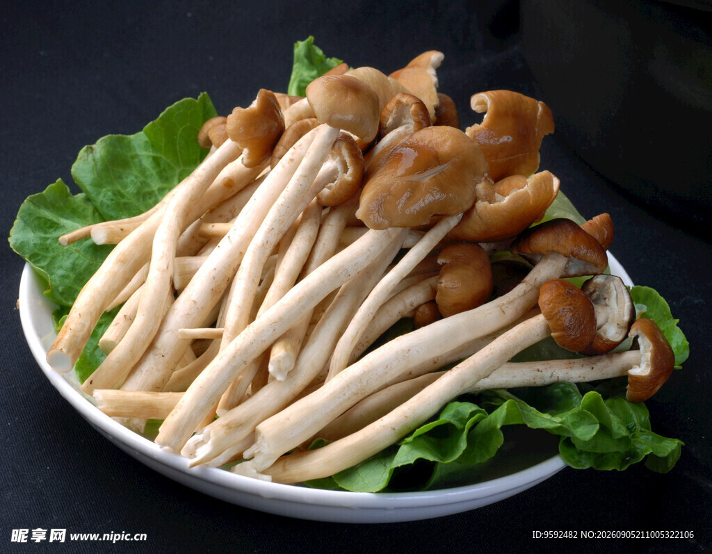 新鲜蟹味菇摆放在绿叶上