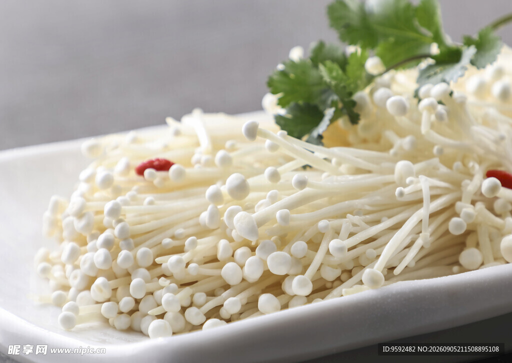 新鲜金针菇摆盘饰以香菜