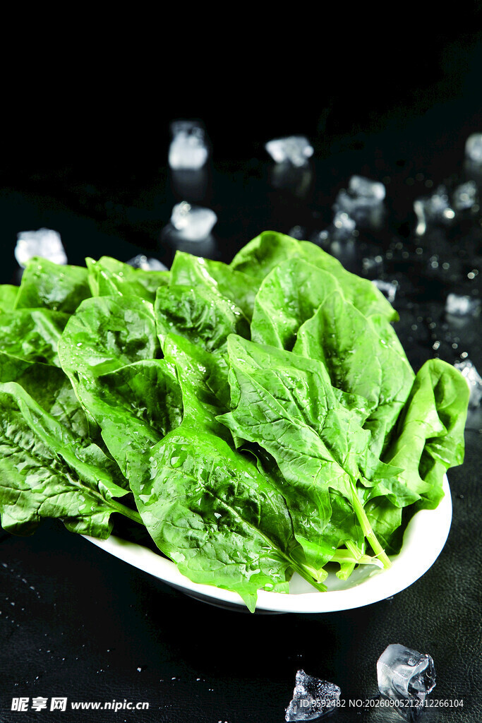 冰鲜绿叶蔬菜鲜嫩欲滴
