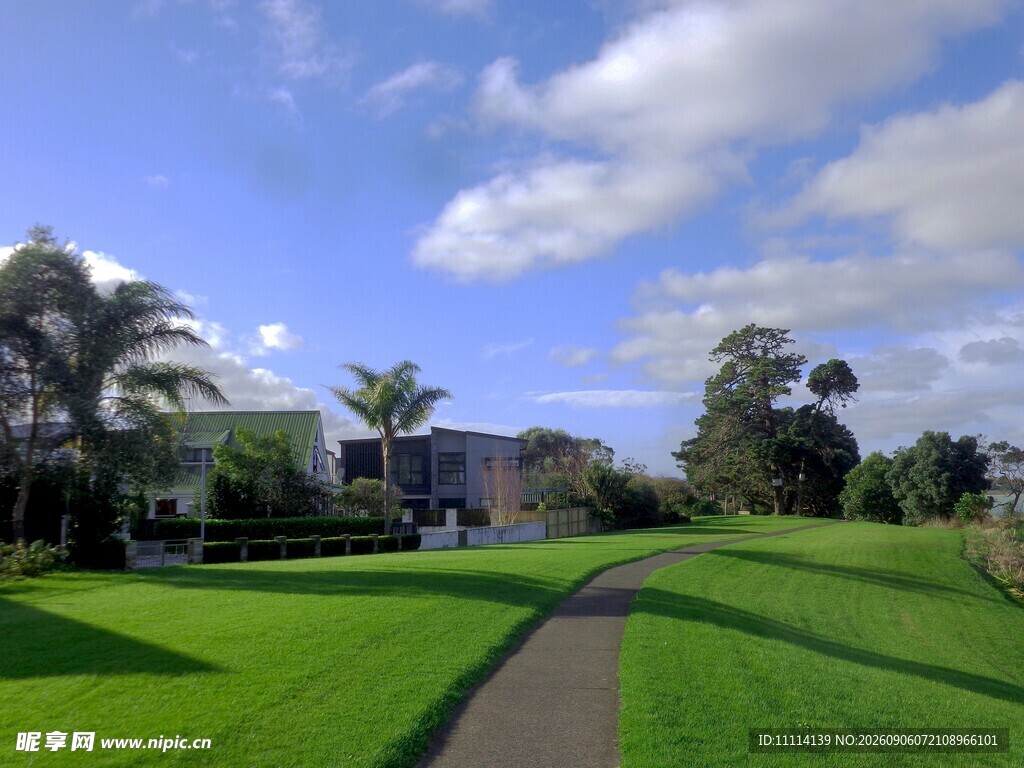 绿意盎然的小镇美景