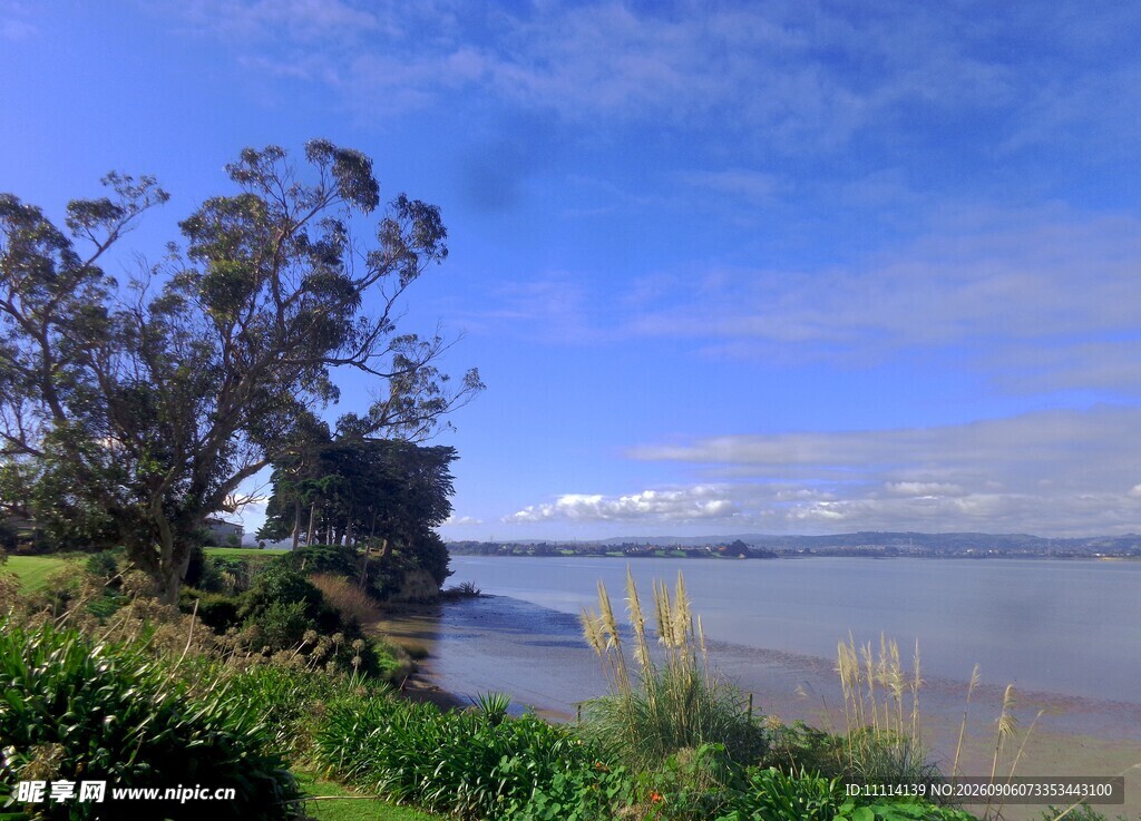 海滨绿植蓝天美景