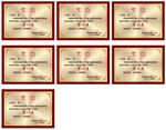 学校砂金金箔奖牌
