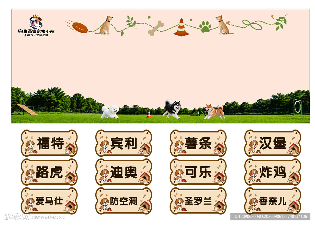 宠物培训