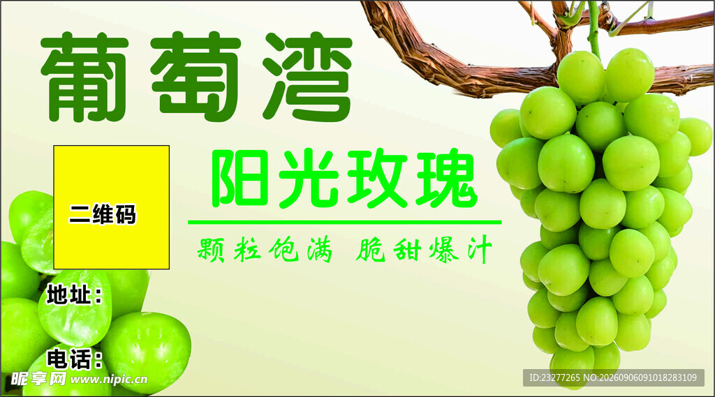 葡萄湾阳光玫瑰葡萄展示