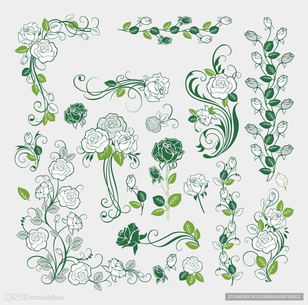 玫瑰花植物装饰图案矢量素材