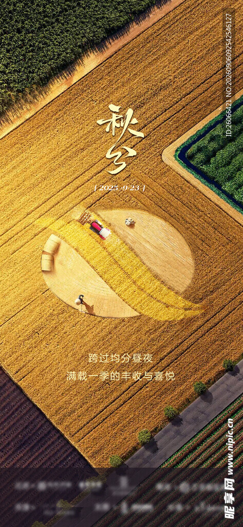 秋分丰收田园风竖版节气海报