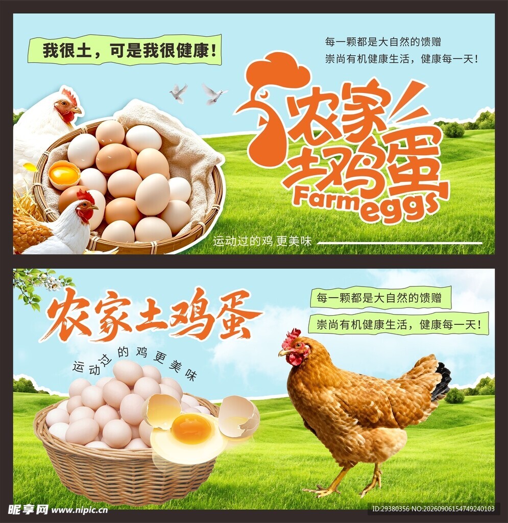 农家土鸡蛋