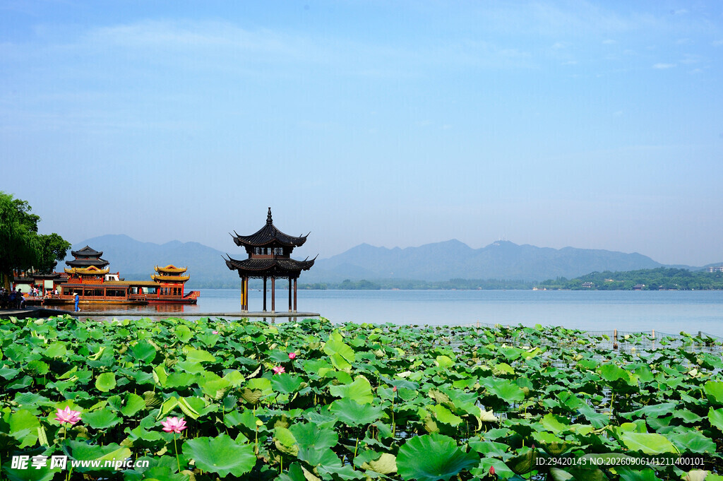 西湖荷花畔的古韵景致