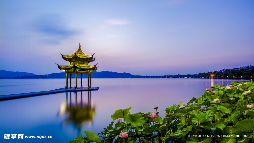 湖畔古亭夜景荷影相伴