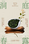 春露新茶碧螺春茶叶海报