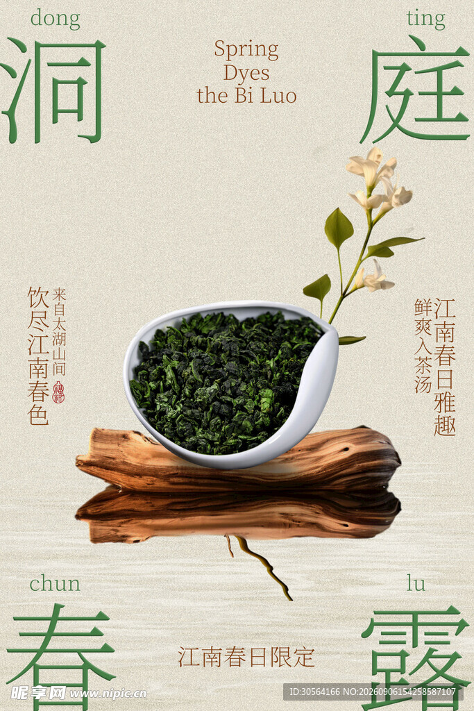 春露新茶碧螺春茶叶海报