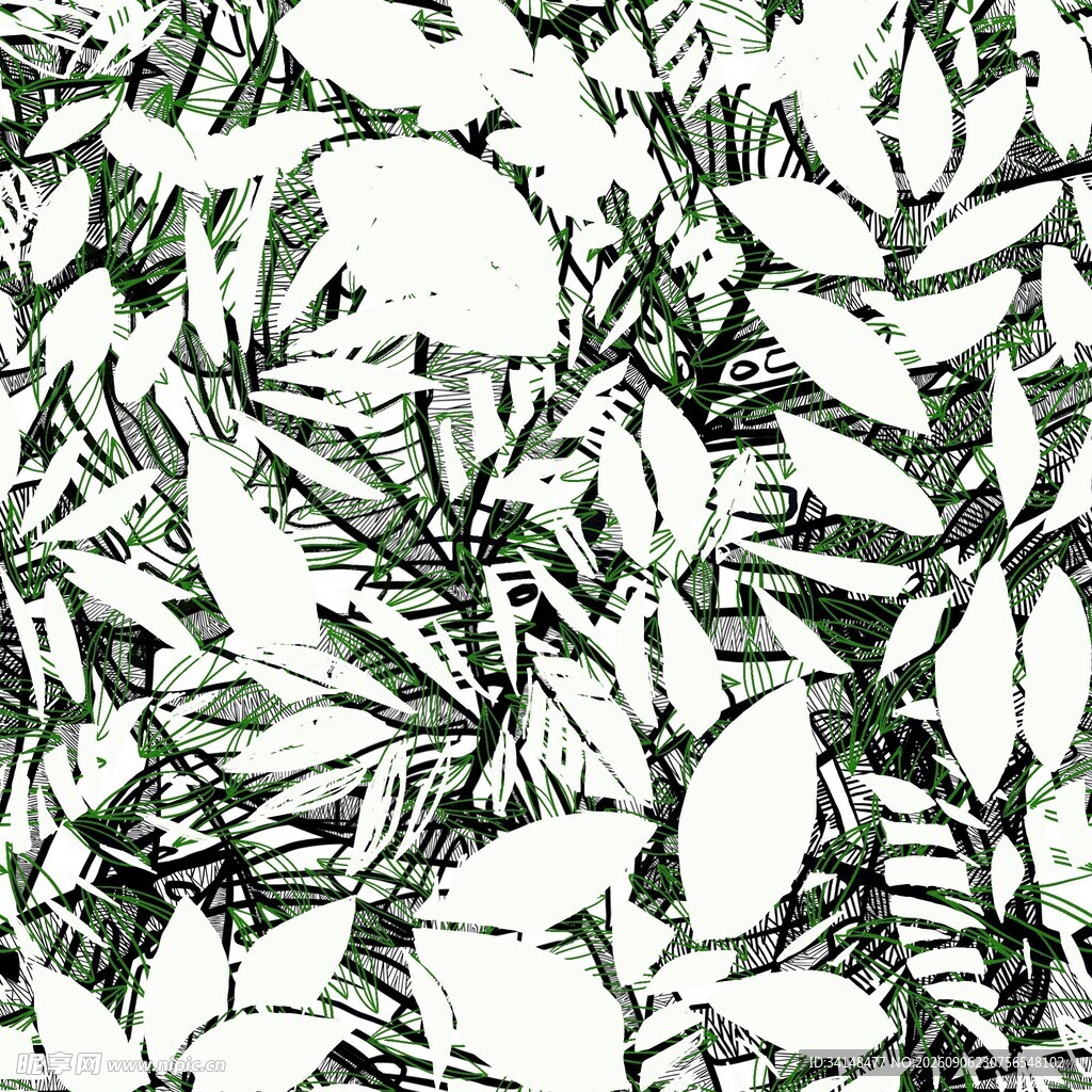 黑白植物叶片图案纹理