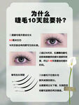 补睫毛