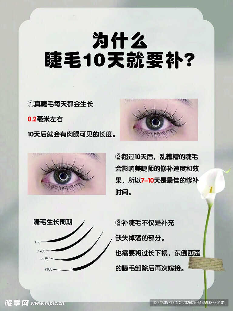 补睫毛
