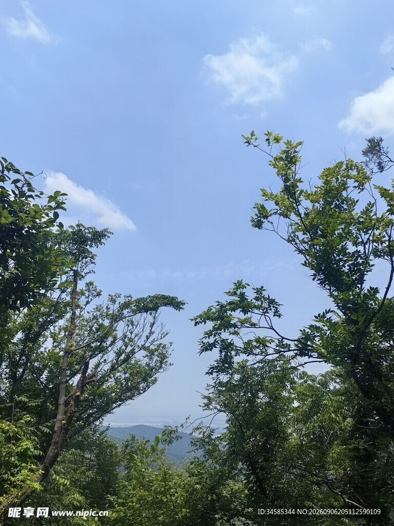 蓝天绿树间的清新景致