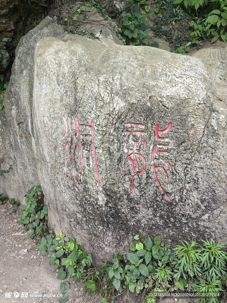 刻字巨石周边绿植相伴