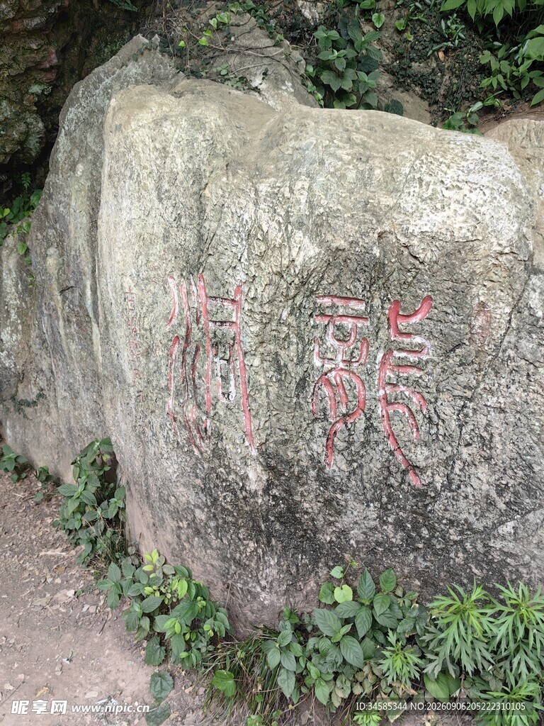 刻字巨石周边绿植环绕