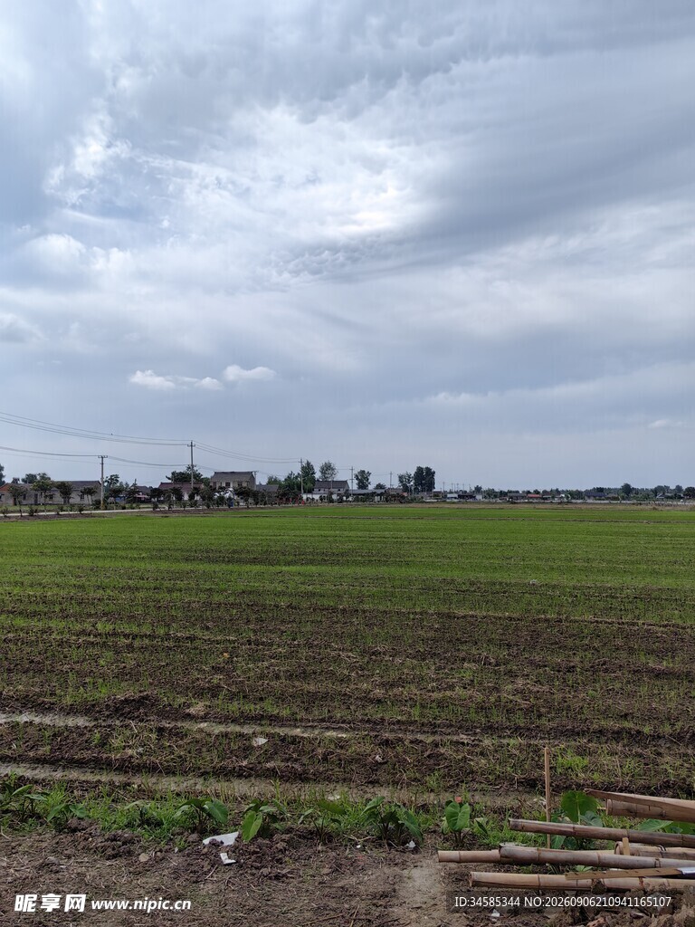 广袤田野风景