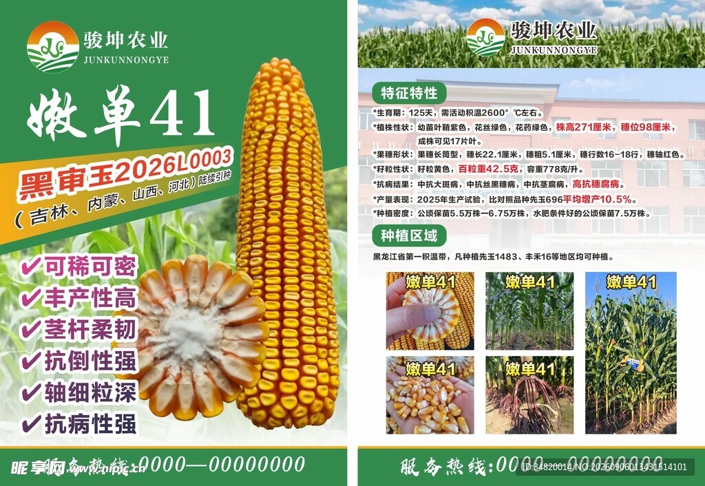 农业玉米种子宣传页展示