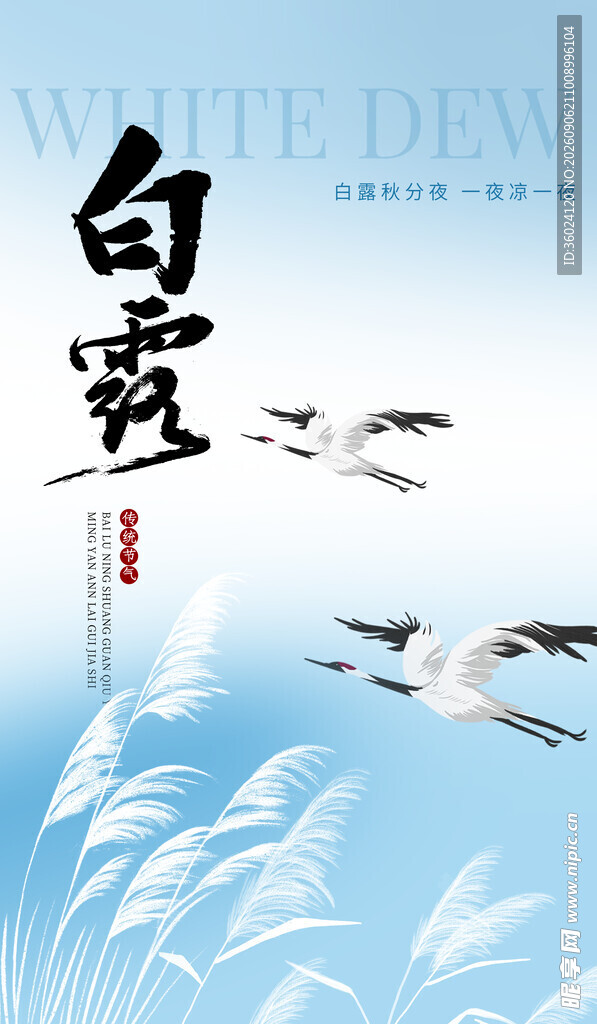 白露时节飞鸟伴芦苇