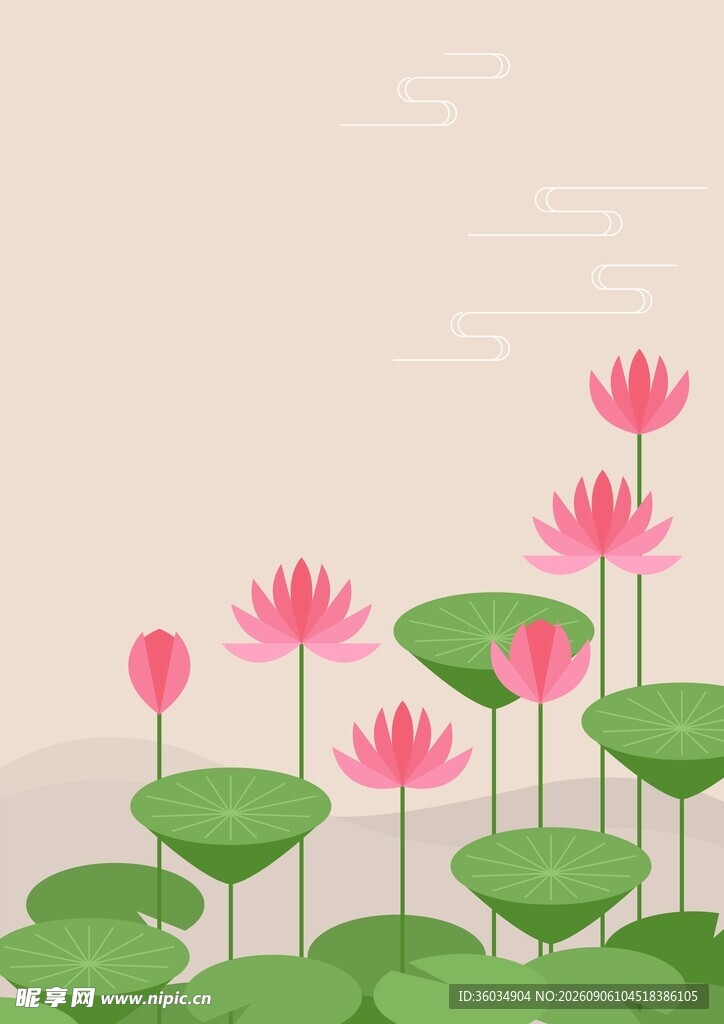 国风荷花背景