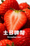 彩色半调的草莓
