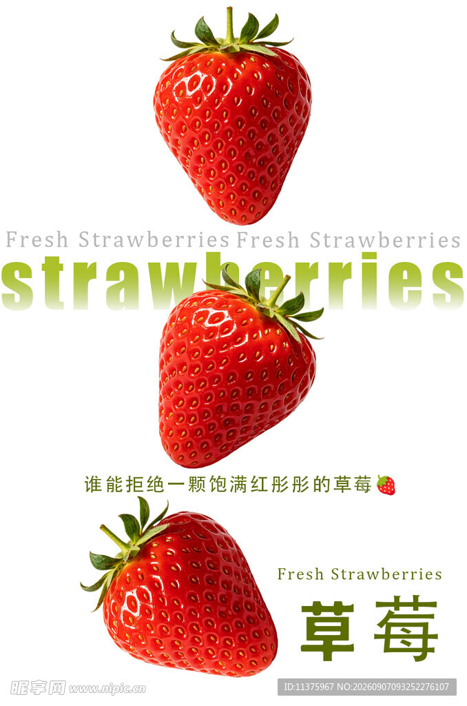 三颗鲜红草莓