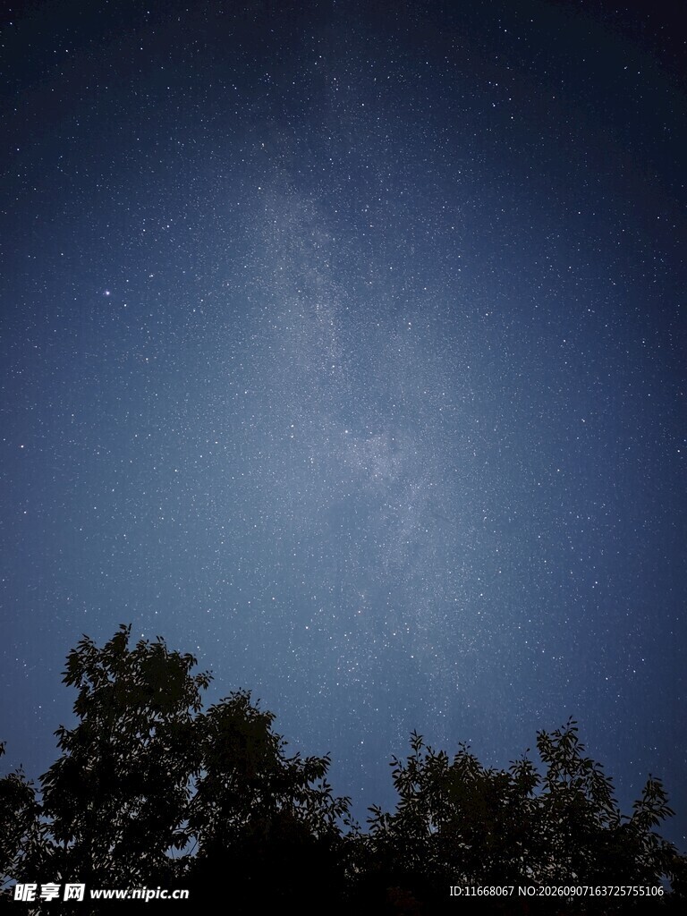 夜空下的树梢与璀璨星河