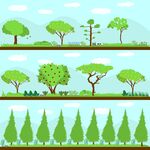 林间风景插画