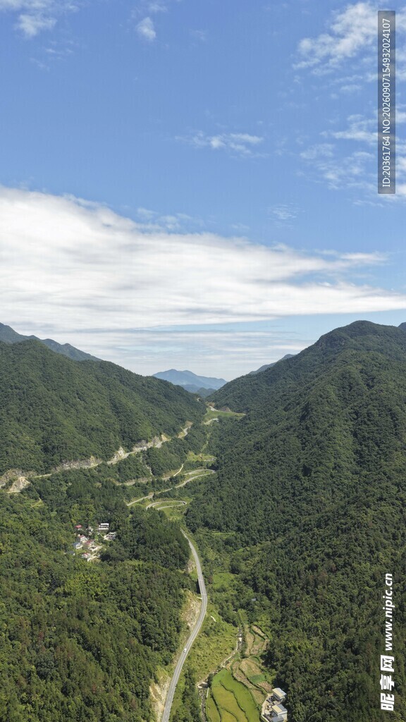 山间公路穿行于葱郁山林