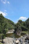 山间溪流旁的葱郁景致