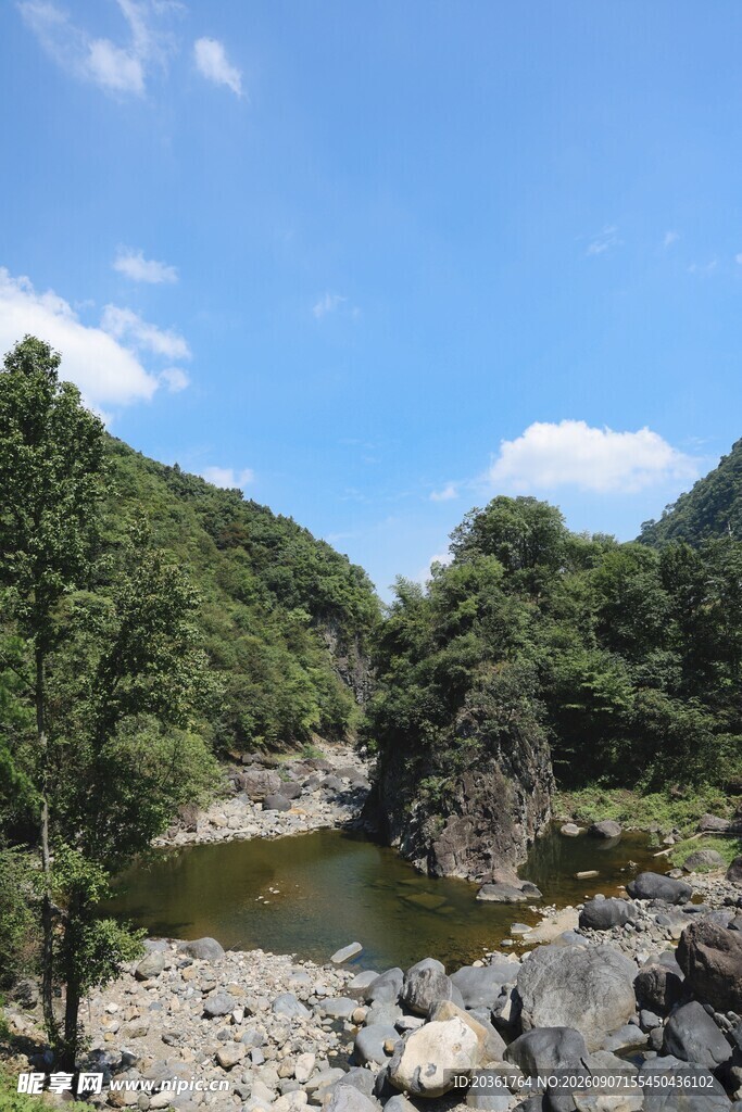 山间溪流旁的葱郁景致