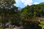 山间吊桥横跨葱郁树林