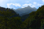 山间葱郁林木与远处山峦