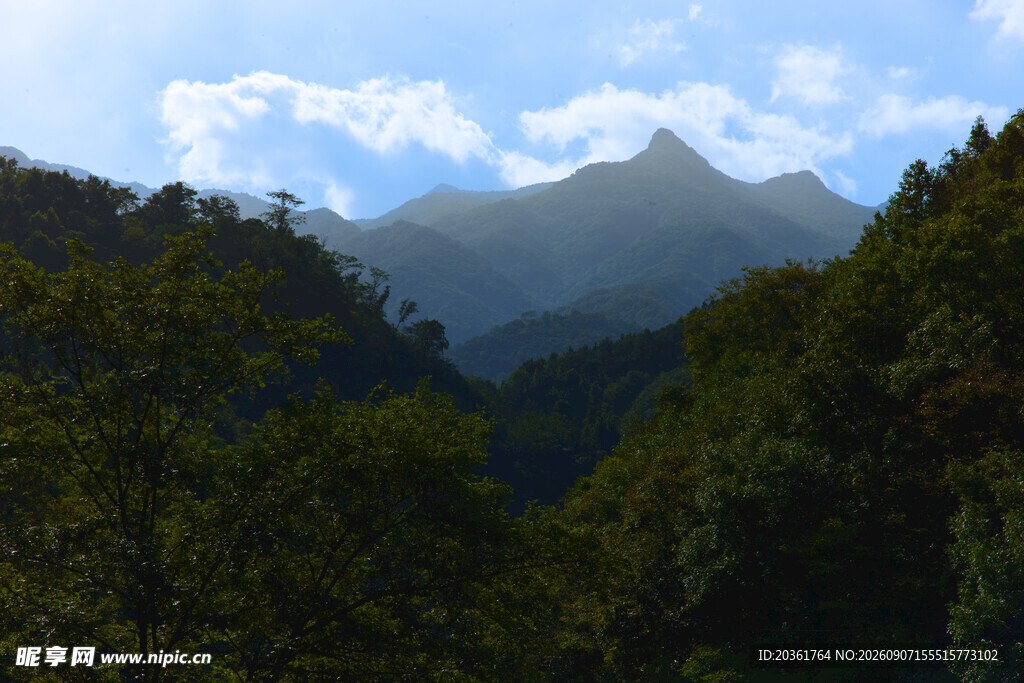 山间葱郁林木与远处山峦