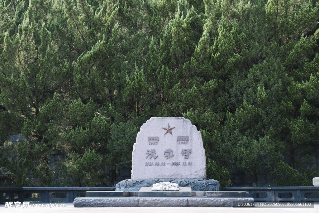纪念碑矗立在葱郁树林前
