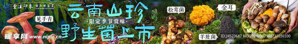 云南特产