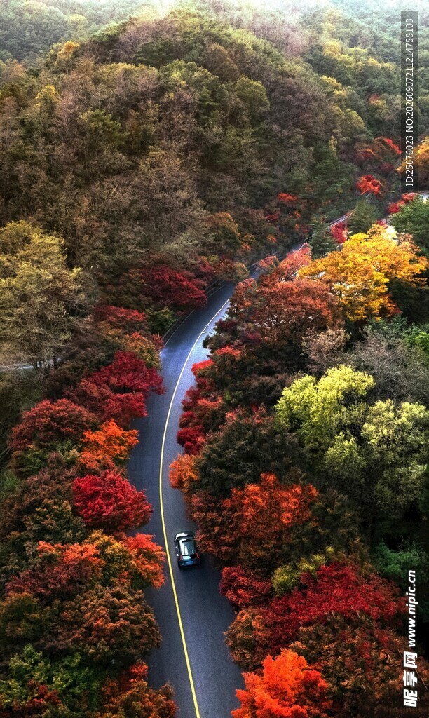 秋日山林间的蜿蜒公路