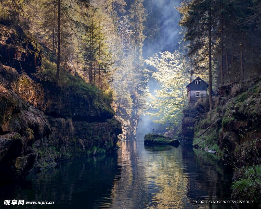 林间幽溪光影洒落之景