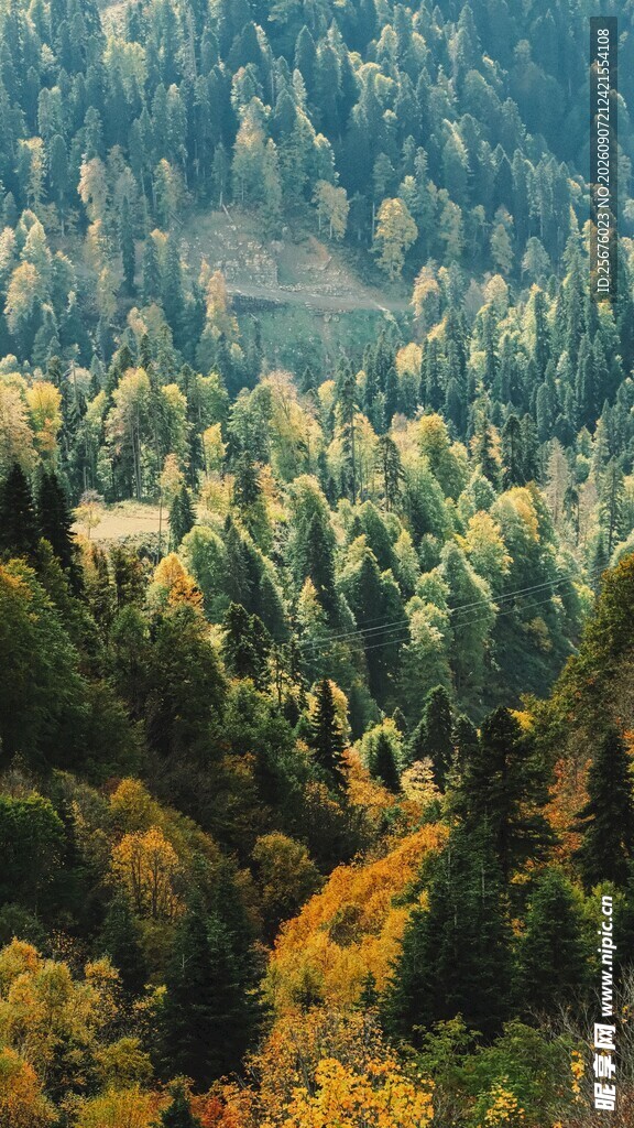 秋日山林美景