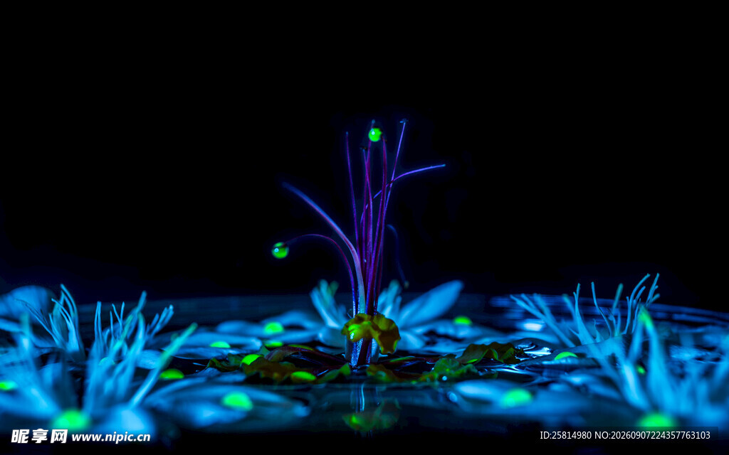 梦幻荧光植物夜景