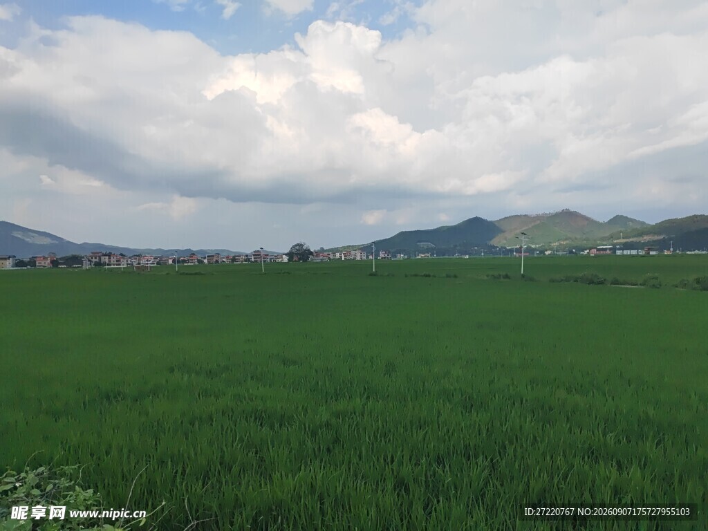 广袤绿野与远处山峦