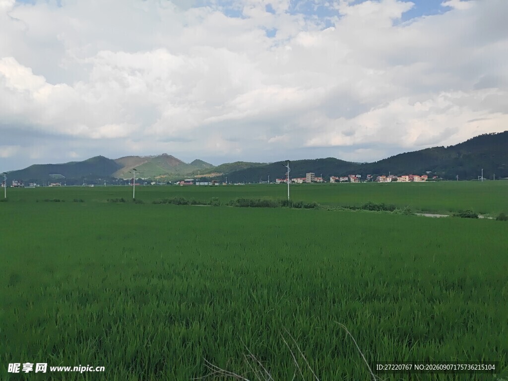 广袤绿野与远山的美丽景致