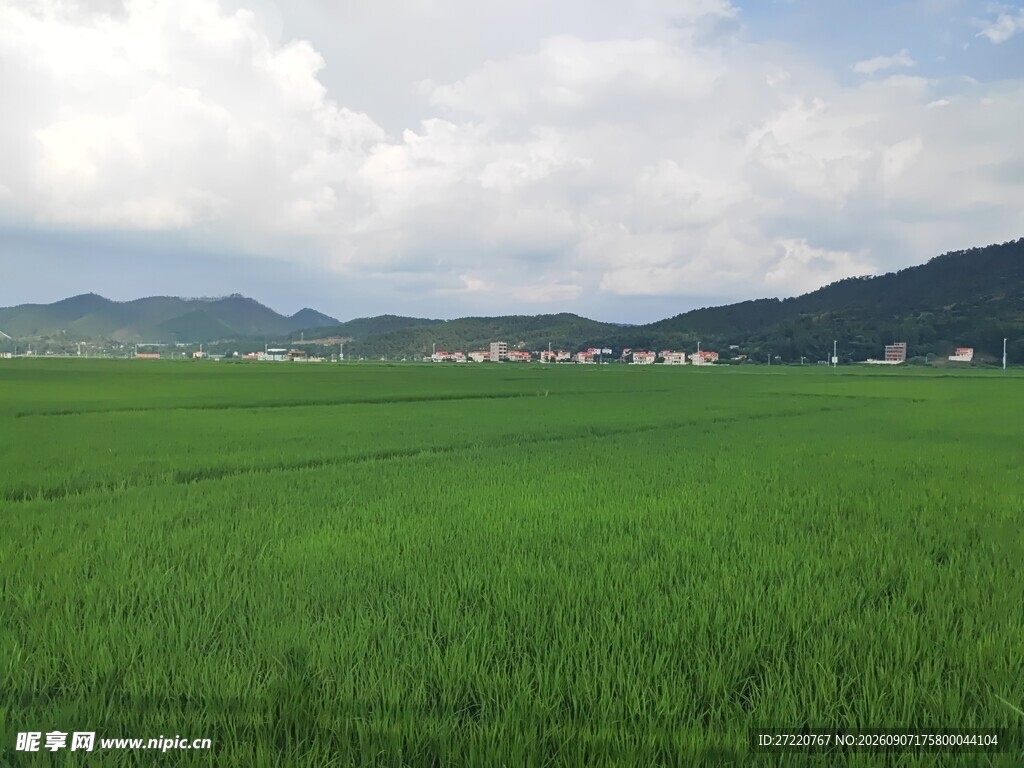 广袤绿野间的田园风光