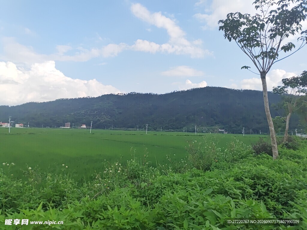 绿野青山间的田园风光