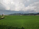 田园绿野风光