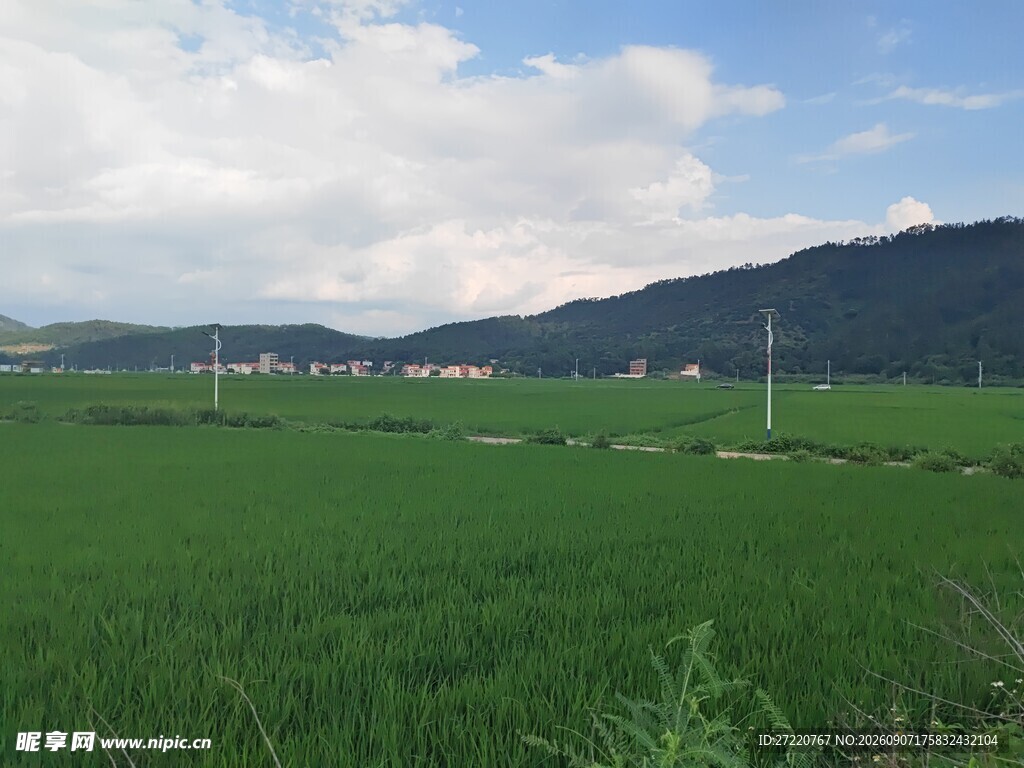 广袤绿野间的田园风光