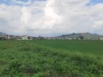 绿野蓝天乡村风光美景