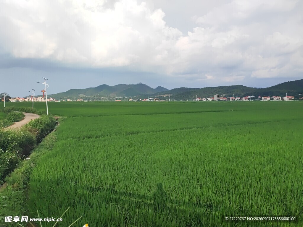 广袤绿野间的田园风光