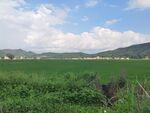 广袤绿野与远山蓝天